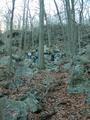 Image file: _2/photo49.jpg