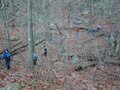 Image file: _2/photo50.jpg