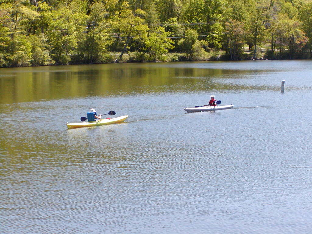 No description provided for: /2002/04-06/0525-kayaking/_1/photo09.html