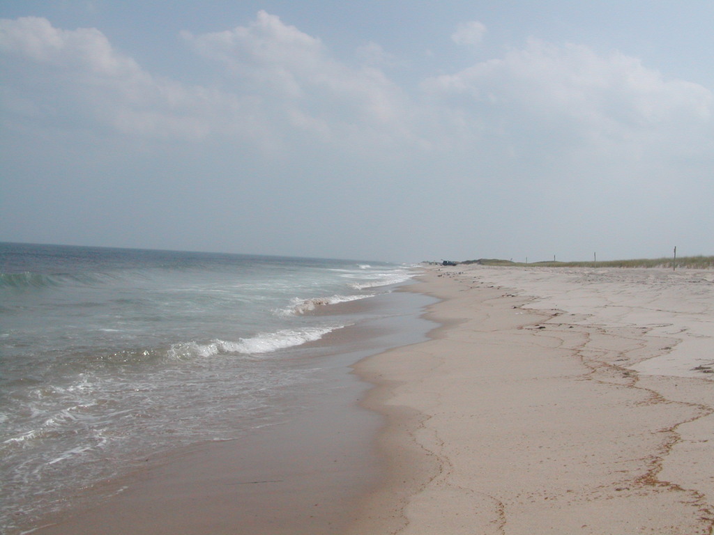 No description provided for: /2002/07-09/0729-kayak-to-nauset/photo02.html