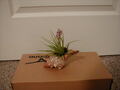 Image file: photo02.jpg