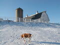 Image file: _1/photo11.jpg
