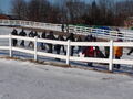 Image file: _1/photo13.jpg