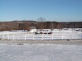 Image file: _1/photo22.jpg