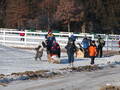 Image file: _2/photo30.jpg