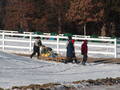 Image file: _2/photo33.jpg