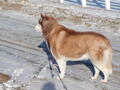 Image file: _2/photo37.jpg
