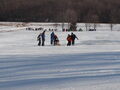 Image file: _2/photo44.jpg