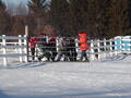 Image file: _2/photo50.jpg