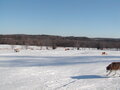 Image file: _3/photo58.jpg