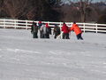Image file: _3/photo66.jpg