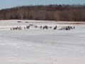 Image file: _3/photo75.jpg