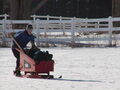 Image file: _4/photo78.jpg