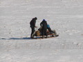 Image file: _4/photo85.jpg