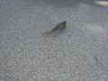 Image file: photo08.jpg