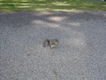 Image file: photo13.jpg