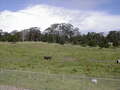Image file: photo14.jpg