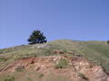 Image file: _2/photo21.jpg