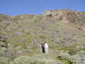 Image file: _2/photo27.jpg