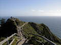 Image file: _2/photo38.jpg