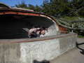 Image file: _3/photo43.jpg