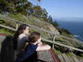 Image file: _3/photo44.jpg