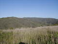 Image file: _3/photo46.jpg