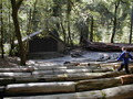 Image file: _3/photo48.jpg
