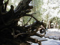 Image file: _3/photo49.jpg
