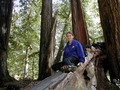 Image file: _3/photo50.jpg