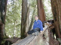 Image file: _3/photo51.jpg