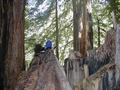 Image file: _3/photo52.jpg