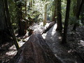 Image file: _3/photo53.jpg