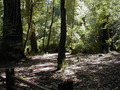 Image file: _3/photo54.jpg