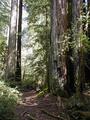 Image file: _3/photo55.jpg