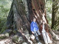 Image file: _3/photo56.jpg
