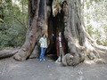 Image file: _3/photo57.jpg