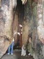 Image file: _4/photo59.jpg