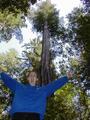 Image file: _4/photo60.jpg