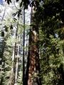 Image file: _4/photo61.jpg