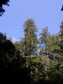 Image file: _4/photo63.jpg