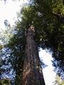 Image file: _4/photo64.jpg