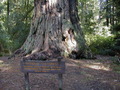 Image file: _4/photo65.jpg