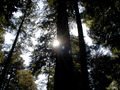 Image file: _4/photo67.jpg