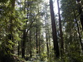 Image file: _4/photo68.jpg