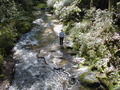 Image file: _4/photo69.jpg