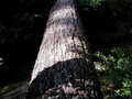 Image file: _4/photo70.jpg