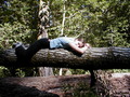 Image file: _4/photo74.jpg