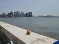 Image file: _4/photo75.jpg