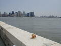 Image file: _4/photo76.jpg